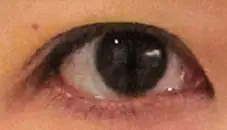 下垂瞇瞇眼