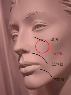 誰偷走了我的蘋果肌?!