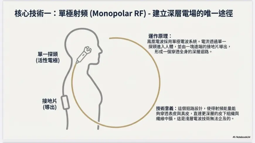 揭秘鳳凰電波緊膚:5 個你可能不知道的射頻輕齡科學真相