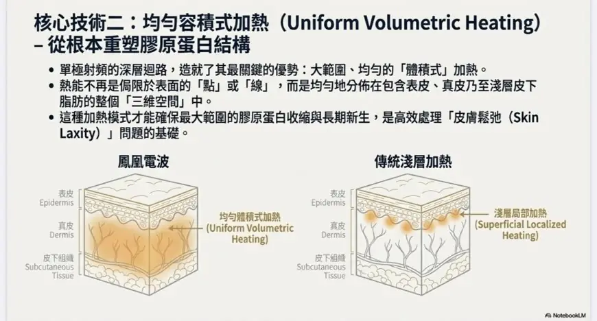 揭秘鳳凰電波緊膚:5 個你可能不知道的射頻輕齡科學真相