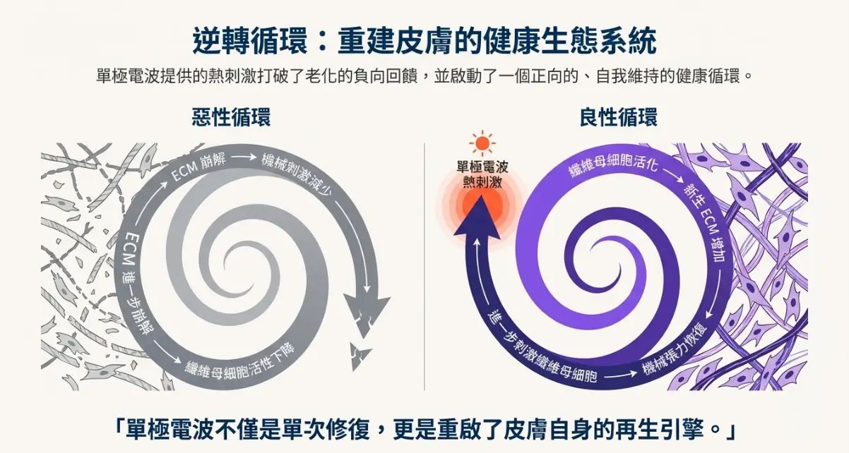 不只拉提，更是延緩老化：鳳凰電波藏在皮膚底層的 4 個科學真相