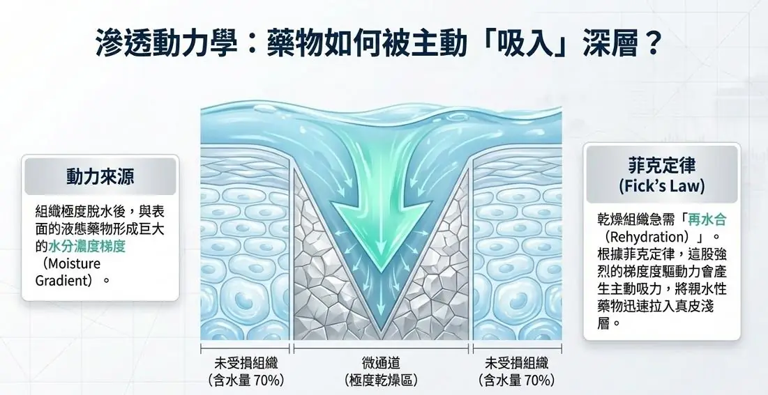 突破皮膚屏障的關鍵技術：提可塑Tixel 熱力點陣於藥物傳輸的臨床應用與機制解析