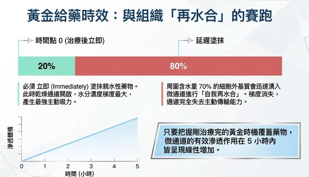 突破皮膚屏障的關鍵技術：提可塑Tixel 熱力點陣於藥物傳輸的臨床應用與機制解析