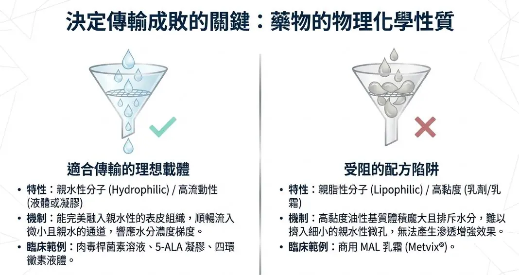 突破皮膚屏障的關鍵技術：提可塑Tixel 熱力點陣於藥物傳輸的臨床應用與機制解析
